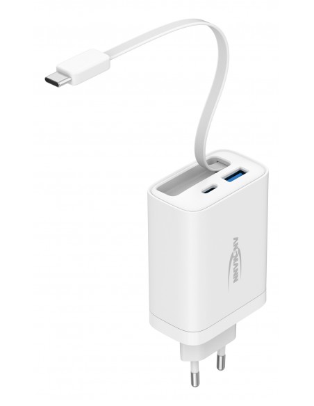 ANSMANN 30W HC 230PD with cable